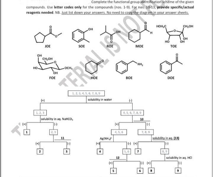 Complete the functional group identification scheme of the given
compounds. Use letter codes only for the compounds (nos. 1-9). For nos. 10-13, provide specific/actual
reagents needed. NB. Just list down your answers. No need to copy the diagram in your answer sheets.
OH
HO.
1,2,3
JOE
CH₂OH
(+)[
OH
FOE
solubility in aq. NaHCO,
(-)
2,3
SOE
11
OH
TEROL ISTO
1, 2, 3, 4, 5, 6, 7, 8, 9
solubility in water
ANH
BOE
4,5,6
12
MOE
4,5,6,7,8,9
(-) (+)
5,6
10
1-1
HOH₂C
7,8,9
HO
TOE
DOE
solubility in aq. (13)
(-)
CH₂OH
9
OH
OH
solubility in aq. HCI