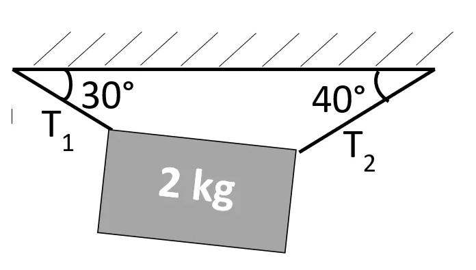 30°
40°
T.
1
T.
2
2 kg
