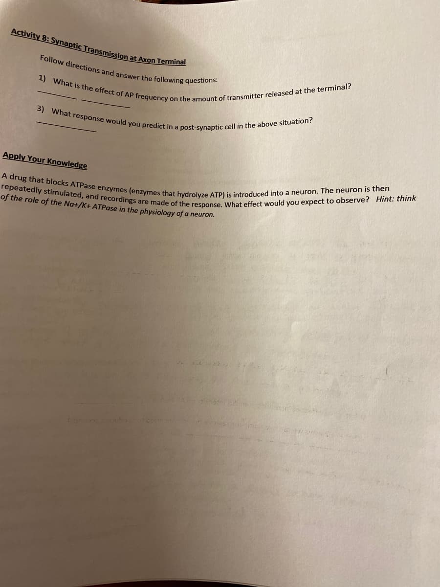 repeatedly stimulated, and recordings are made of the response. What effect would you expect to observe? Hint: think
3) What response would you predict in a post-synaptic cell in the above situation?
Follow directions and answer the following questions:
A drug that blocks ATPase enzymes (enzymes that hydrolyze ATP) is introduced into a neuron. The neuron is then
1) What is the effect of AP frequency on the amount of transmitter released at the terminal?
Activity 8: Synaptic Transmission at Axon Termines
Apply Your Knowledge
of the role of the Na+/K+ ATPase in the physiology of a neuron.
