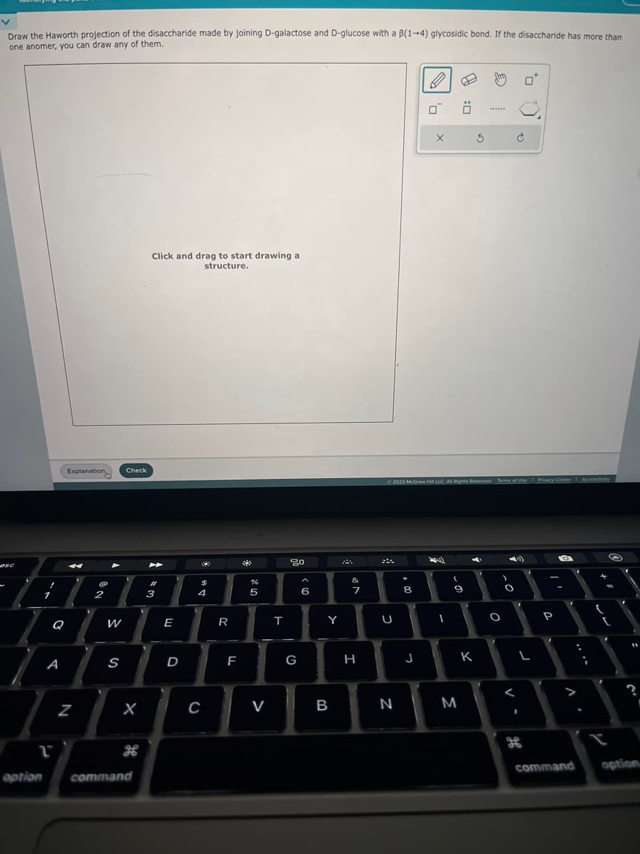 v
Draw the Haworth projection of the disaccharide made by joining D-galactose and D-glucose with a B(1-4) glycosidic bond. If the disaccharide has more than
one anomer, you can draw any of them.
A
1
option
Explanation
Z
No
@
2
W
S
Check
X
command
Click and drag to start drawing a
structure.
►
#3
E
D
#
$
4
C
R
FL
*
be 10
%
5
V
P
T
80
G)
6
Y
B
&
M
7
H
U
N
*
8
00
© 2023 McGraw Hill LLC. All Rights Reserved. Terms of Use | Privacy Center Accessibility
0₁
J
X
-
Ö
(
9
M
3
K
4)
)
O
O
<
1
n
L
9.
P
O
command
+
L
S
?
option