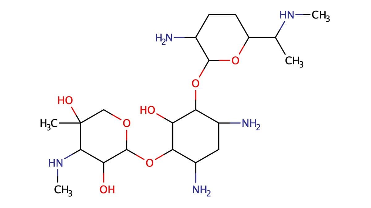 HN–CH3
H,N
CH3
НО
HO
H;C-
-NH2
HN
|
CH3
ОН
NH2
