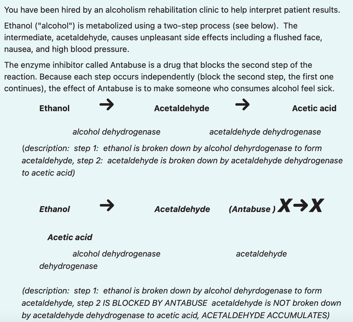 You have been hired by an alcoholism rehabilitation clinic to help interpret patient results.
Ethanol ("alcohol") is metabolized using a two-step process (see below). The
intermediate, acetaldehyde, causes unpleasant side effects including a flushed face,
nausea, and high blood pressure.
The enzyme inhibitor called Antabuse is a drug that blocks the second step of the
reaction. Because each step occurs independently (block the second step, the first one
continues), the effect of Antabuse is to make someone who consumes alcohol feel sick.
Ethanol
Ethanol
alcohol dehydrogenase
acetaldehyde dehydrogenase
(description: step 1: ethanol is broken down by alcohol dehyrdogenase to form
acetaldehyde, step 2: acetaldehyde is broken down by acetaldehyde dehydrogenase
to acetic acid)
Acetic acid
Acetaldehyde
dehydrogenase
Acetaldehyde
alcohol dehydrogenase
Acetic acid
(Antabuse) X→X
acetaldehyde
(description: step 1: ethanol is broken down by alcohol dehyrdogenase to form
acetaldehyde, step 2 IS BLOCKED BY ANTABUSE acetaldehyde is NOT broken down
by acetaldehyde dehydrogenase to acetic acid, ACETALDEHYDE ACCUMULATES)