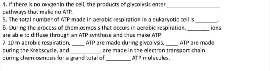 4. If there is no oxygenin the cell, the products of glycolysis enter
pathways that make no ATP.
5. The total number of ATP made in aerobic respiration in a eukaryotic cell is
6. During the process of chemiosmosis that occurs in aerobic respiration,
are able to diffuse through an ATP synthase and thus make ATP.
7-10 In aerobic respiration,
during the Krebscycle, and
during chemiosmosis for a grand total of
ions
ATP are made during glycolysis, ATP are made
are made in the electron transport chain
ATP molecules.
