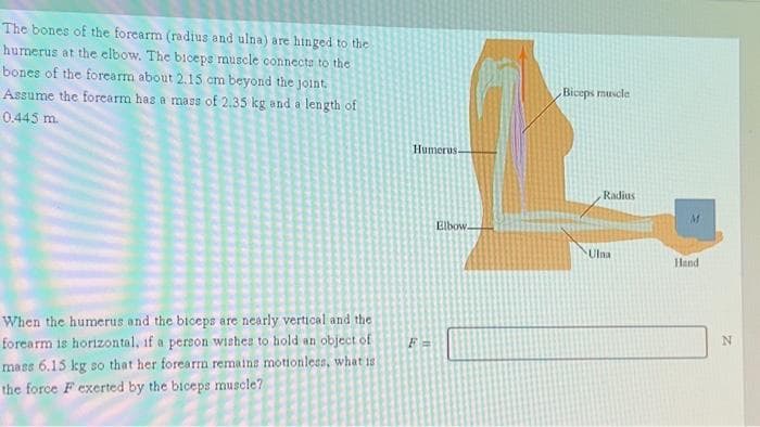 The bones of the forearm (radius and ulna) are hinged to the
humerus at the elbow. The biceps muscle connects to the
bones of the forearm about 2.15 cm beyond the joint.
Assume the forearm has a mass of 2.35 kg and a length of
0.445 m.
When the humerus and the biceps are nearly vertical and the
forearm is horizontal, if a person wishes to hold an object of
mass 6.15 kg so that her forearm remains motionless, what is
the force F exerted by the biceps muscle?
5
Humerus.
F=
Elbow.
Biceps muscle
Radius
Ulna
Hand
N