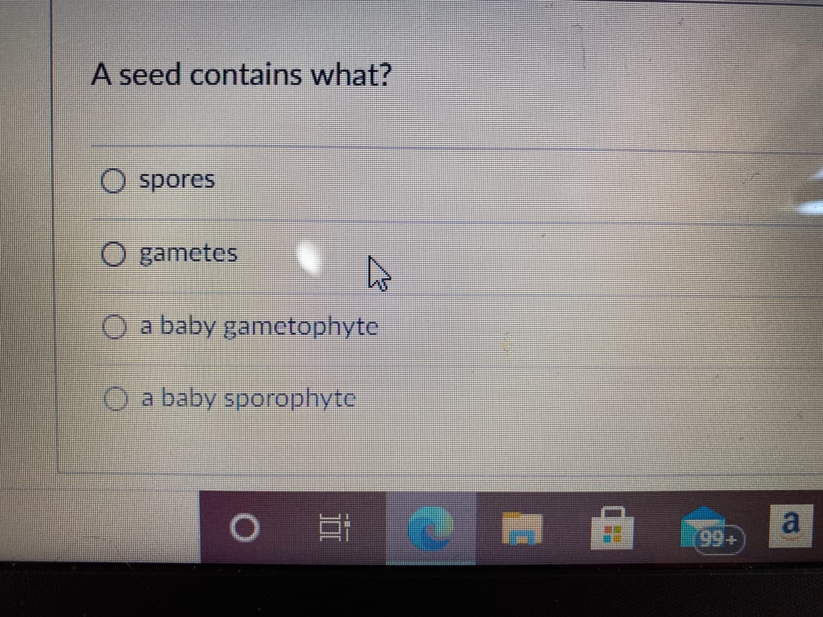 A seed contains what?
O spores
O gametes
O a baby gametophyte
O a baby sporophyte
a
(09+)
