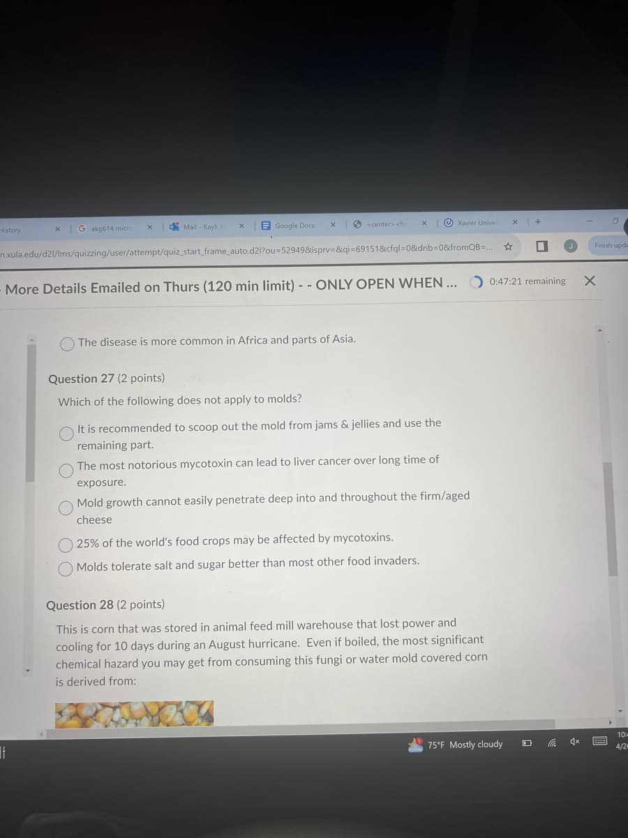 History
x Gakg614 micro
x
Mail - Kayli Je
x Google Docs
x
<center> <for
х
Xavier Univer x +
Finish upda
n.xula.edu/d2l/lms/quizzing/user/attempt/quiz_start_frame_auto.d2l?ou=52949&isprv=&qi=69151&cfql=0&dnb=0&fromQB=... ☆
More Details Emailed on Thurs (120 min limit) --ONLY OPEN WHEN ...
0:47:21 remaining x
The disease is more common in Africa and parts of Asia.
Question 27 (2 points)
Which of the following does not apply to molds?
It is recommended to scoop out the mold from jams & jellies and use the
remaining part.
The most notorious mycotoxin can lead to liver cancer over long time of
exposure.
Mold growth cannot easily penetrate deep into and throughout the firm/aged
cheese
25% of the world's food crops may be affected by mycotoxins.
Molds tolerate salt and sugar better than most other food invaders.
Question 28 (2 points)
This is corn that was stored in animal feed mill warehouse that lost power and
cooling for 10 days during an August hurricane. Even if boiled, the most significant
chemical hazard you may get from consuming this fungi or water mold covered corn
is derived from:
10%
75°F Mostly cloudy
4/2