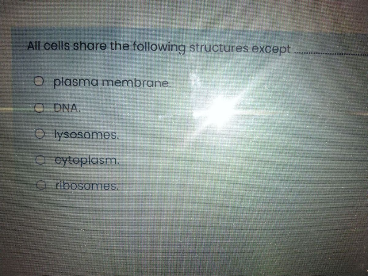 All cells share the following structures except
O plasma membrane.
O DNA.
O lysosomes.
O cytoplasm.
O ribosomes.
