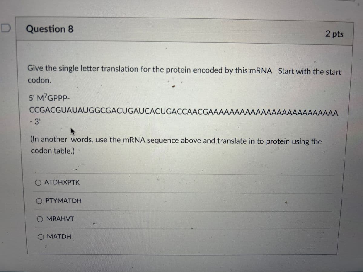 D
Question 8
2 pts
Give the single letter translation for the protein encoded by this mRNA. Start with the start
codon.
5' M7GPPP-
CCGACGUAUAUGGCGACUGAUCACUGACCAACGAAAAAAAAAAAAAAAAAAAAAAAAA.
- 3'
(In another words, use the mRNA sequence above and translate in to protein using the
codon table.)
O ATDHXPTK
OPTYMATDH
O MRAHVT
O MATDH