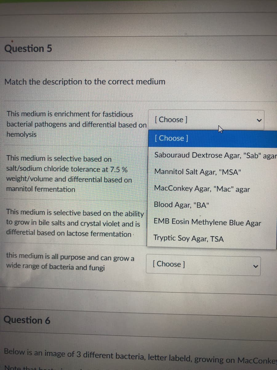 Question 5
Match the description to the correct medium
This medium is enrichment for fastidious
[ Choose ]
bacterial pathogens and differential based on
hemolysis
[Choose ]
Sabouraud Dextrose Agar, "Sab" agar
This medium is selective based on
salt/sodium chloride tolerance at 7.5 %
Mannitol Salt Agar, "MSA"
weight/volume and differential based on
mannitol fermentation
MacConkey Agar, "Mac" agar
Blood Agar, "BA"
This medium is selective based on the ability
EMB Eosin Methylene Blue Agar
to grow in bile salts and crystal violet and is
differetial based on lactose fermentation
Tryptic Soy Agar, TSA
this medium is all purpose and can grow a
wide range of bacteria and fungi
[ Choose ]
Question 6
Below is an image of 3 different bacteria, letter labeld, growing on MacConkey
Note that hr
