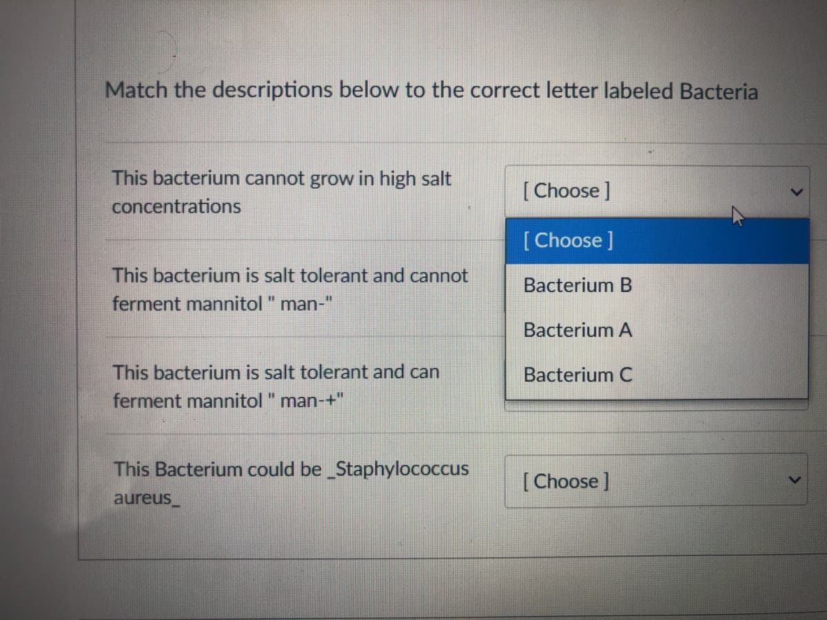 Match the descriptions below to the correct letter labeled Bacteria
This bacterium cannot grow in high salt
[Choose ]
concentrations
[ Choose ]
This bacterium is salt tolerant and cannot
Bacterium B
ferment mannitol" man-"
Bacterium A
This bacterium is salt tolerant and can
Bacterium C
ferment mannitol" man-+"
This Bacterium could be Staphylococcus
[Choose ]
aureus_
