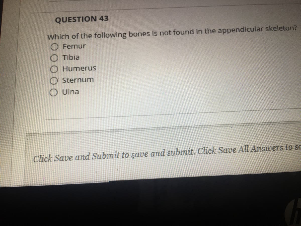 QUESTION 43
Which of the following bones is not found in the appendicular skeleton?
O Femur
O Tibia
Humerus
Sternum
O Ulna
Click Save and Submit to şave and submit. Click Save All Answers to sC
