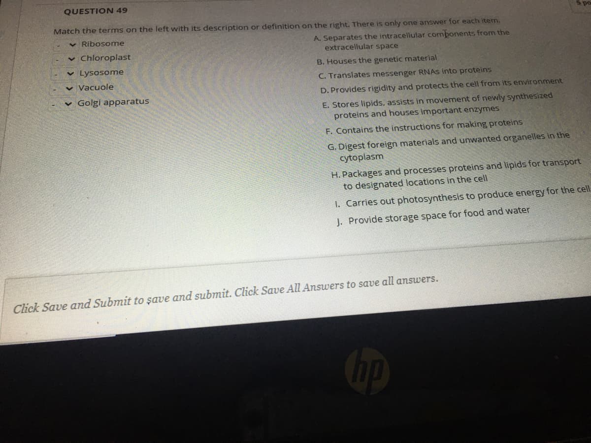 QUESTION 49
Match the terms on the left with its description or definition on the right. There is only one answer for each item.
v Ribosome
A. Separates the intracellular components from the
extracellular space
v Chloroplast
v Lysosome
B. Houses the genetic material
v Vacuole
C. Translates messenger RNAS into proteins
v Golgi apparatus
D. Provides rigidity and protects the cell from its environment
E. Stores lipids, assists in movement of newly synthesized
proteins and houses important enzymes
F. Contains the instructions for making proteins
G. Digest foreign materials and unwanted organelles in the
cytoplasm
H. Packages and processes proteins and lipids for transport
to designated locations in the cell
1. Carries out photosynthesis to produce energy for the cell
J. Provide storage space for food and water
Click Save and Submit to şave and submit. Click Save All Answers to save all answers.
Gp
