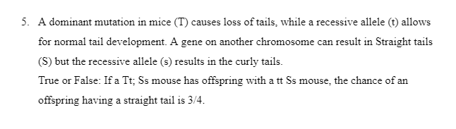 5. A dominant mutation in mice (T) causes loss of tails, while a recessive allele (t) allows
for normal tail development. A gene on another chromosome can result in Straight tails
(S) but the recessive allele (s) results in the curly tails.
True or False: If a Tt; Ss mouse has offspring with a tt Ss mouse, the chance of an
offspring having a straight tail is 3/4.