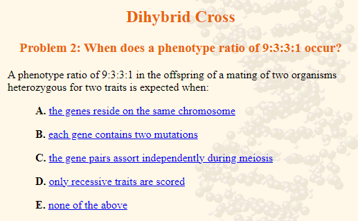 Dihybrid Cross
Problem 2: When does a phenotype ratio of 9:3:3:1 occur?
A phenotype ratio of 9:3:3:1 in the offspring of a mating of two organisms
heterozygous for two traits is expected when:
A. the genes reside on the same chromosome
B. each gene contains two mutations
C. the gene pairs assort independently during meiosis
D. only recessive traits are scored
E. none of the above