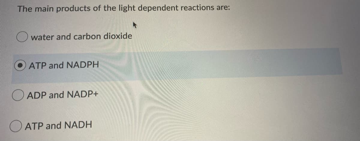 The main products of the light dependent reactions are:
O water and carbon dioxide
ATP and NADPH
O ADP and NADP+
O ATP and NADH

