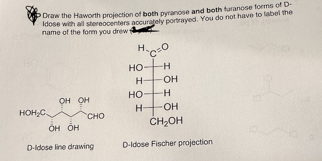 Draw the Haworth projection of both pyranose and both furanose forms of D-
Idose with all stereocenters accurately portrayed. You do not have to label the
name of the form you drew
H-CO
HO
-H
H
-OH
HO
-H
OH OH
HOH2C
H-
OH
CHO
OH OH
CH2OH
D-Idose line drawing
D-Idose Fischer projection