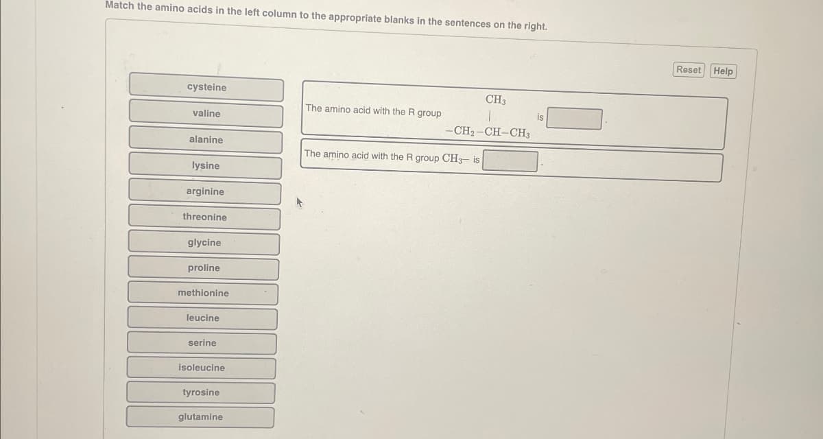 Match the amino acids in the left column to the appropriate blanks in the sentences on the right.
cysteine
CH3
The amino acid with the R group
is
valine
-CH2-CH-CH3
alanine
The amino acid with the R group CH3 is
lysine
arginine
threonine
glycine
proline
methionine
leucine
serine
isoleucine
tyrosine
glutamine
Reset
Help