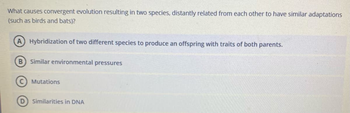 What causes convergent evolution resulting in two species, distantly related from each other to have similar adaptations
(such as birds and bats)?
A Hybridization of two different species to produce an offspring with traits of both parents.
B Similar environmental pressures
Mutations
Similarities in DNA
