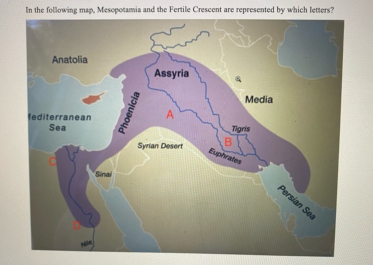 In the following map, Mesopotamia and the Fertile Crescent are represented by which letters?
Anatolia
Mediterranean
Sea
Nile
Sinai
Phoenicia
Assyria
Syrian Desert
Media
Tigris
B
Euphrates
N
Persian Sea
