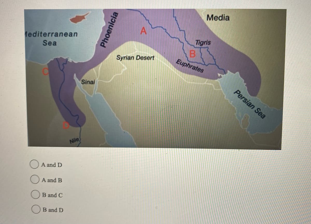 Mediterranean
Sea
A and D
A and B
B and C
OB and D
Nile
Sinai
Phoenicia
A
Syrian Desert
Media
Tigris
B
Euphrates
Persian Sea