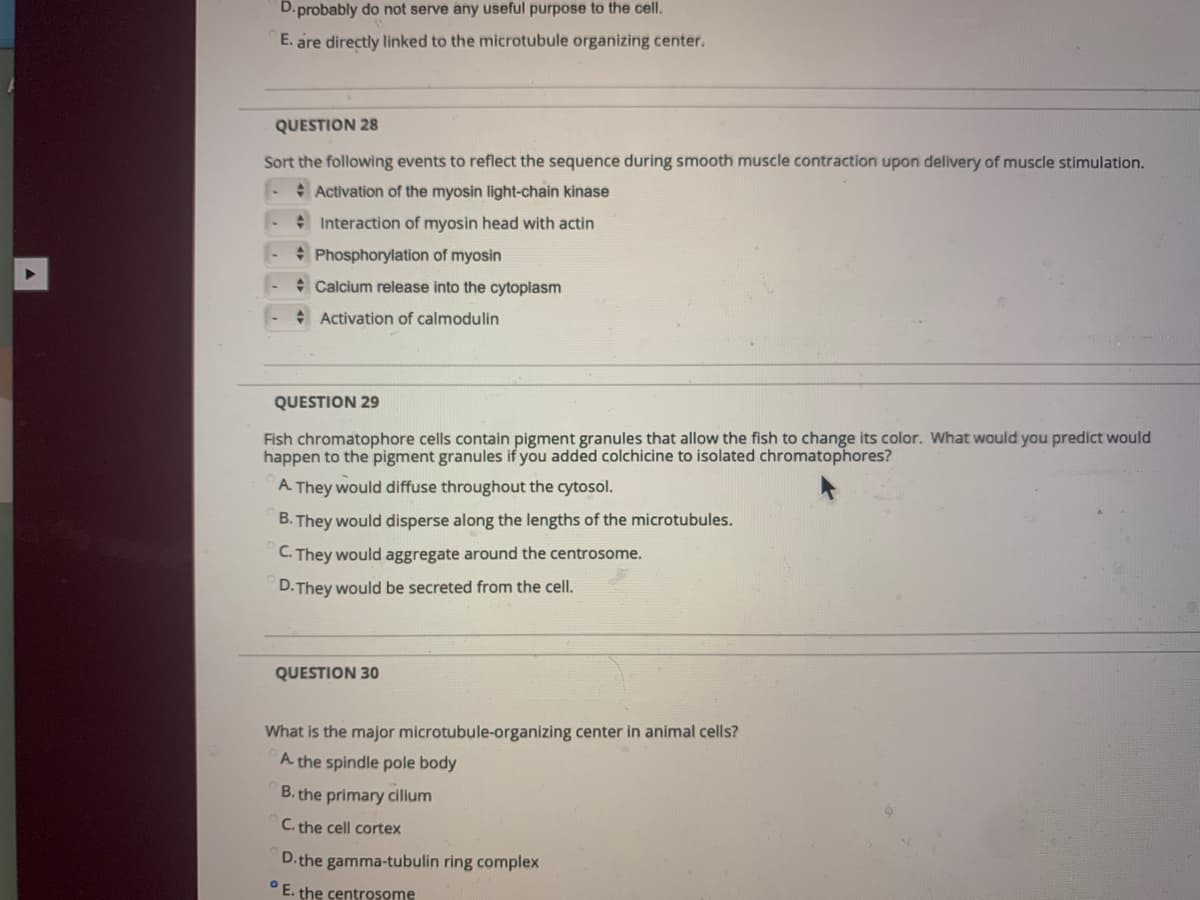D. probably do not serve any useful purpose to the cell.
E. are directly linked to the microtubule organizing center.
QUESTION 28
Sort the following events to reflect the sequence during smooth muscle contraction upon delivery of muscle stimulation.
Activation of the myosin light-chain kinase
e Interaction of myosin head with actin
- Phosphorylation of myosin
- Calcium release into the cytoplasm
* Activation of calmodulin
QUESTION 29
Fish chromatophore cells contain pigment granules that allow the fish to change its color. What would you predict would
happen to the pigment granules if you added colchicine to isolated chromatophores?
A They would diffuse throughout the cytosol.
B. They would disperse along the lengths of the microtubules.
C. They would aggregate around the centrosome.
D.They would be secreted from the cell.
QUESTION 30
What is the major microtubule-organizing center in animal cells?
A. the spindle pole body
B. the primary cilium
C. the cell cortex
D.the gamma-tubulin ring complex
°E. the centrosome
