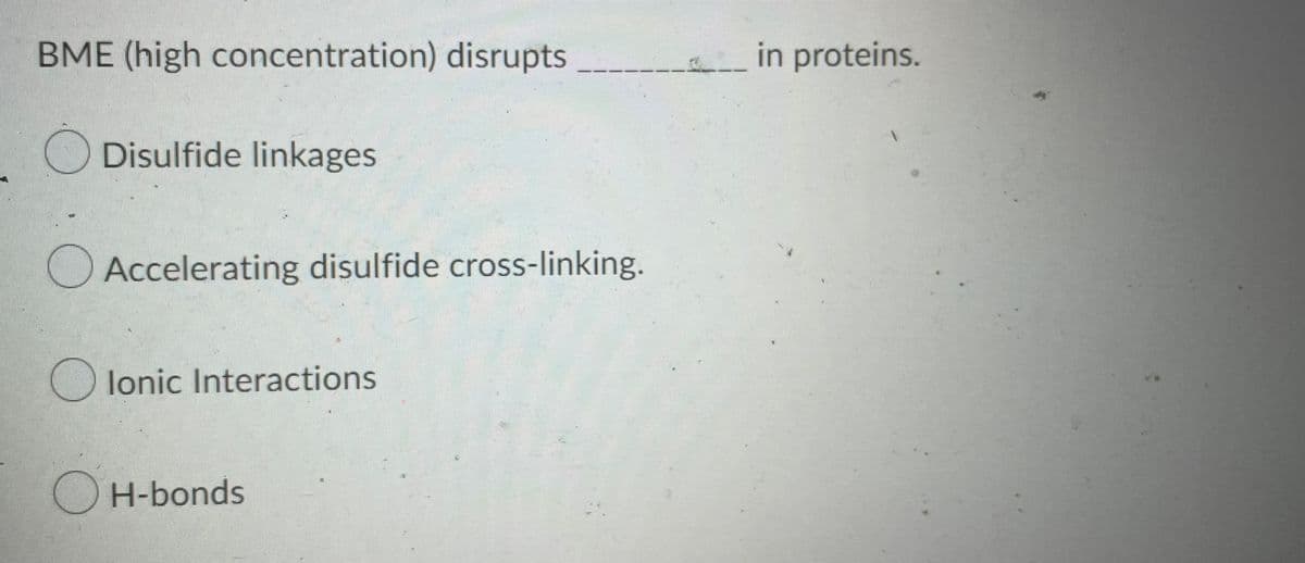 BME (high concentration) disrupts
Disulfide linkages
Accelerating disulfide cross-linking.
Olonic Interactions
OH-bonds
in proteins.