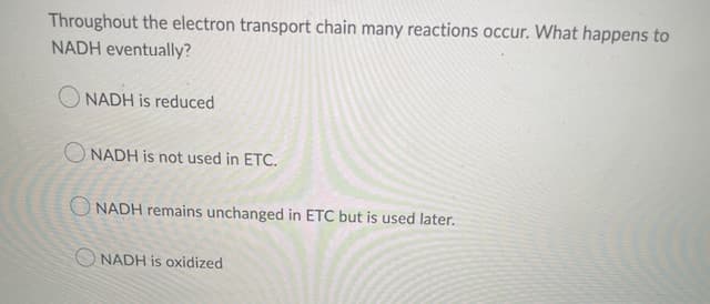 Throughout the electron transport chain many reactions occur. What happens to
NADH eventually?
NADH is reduced
NADH is not used in ETC.
ONADH remains unchanged in ETC but is used later.
ONADH is oxidized