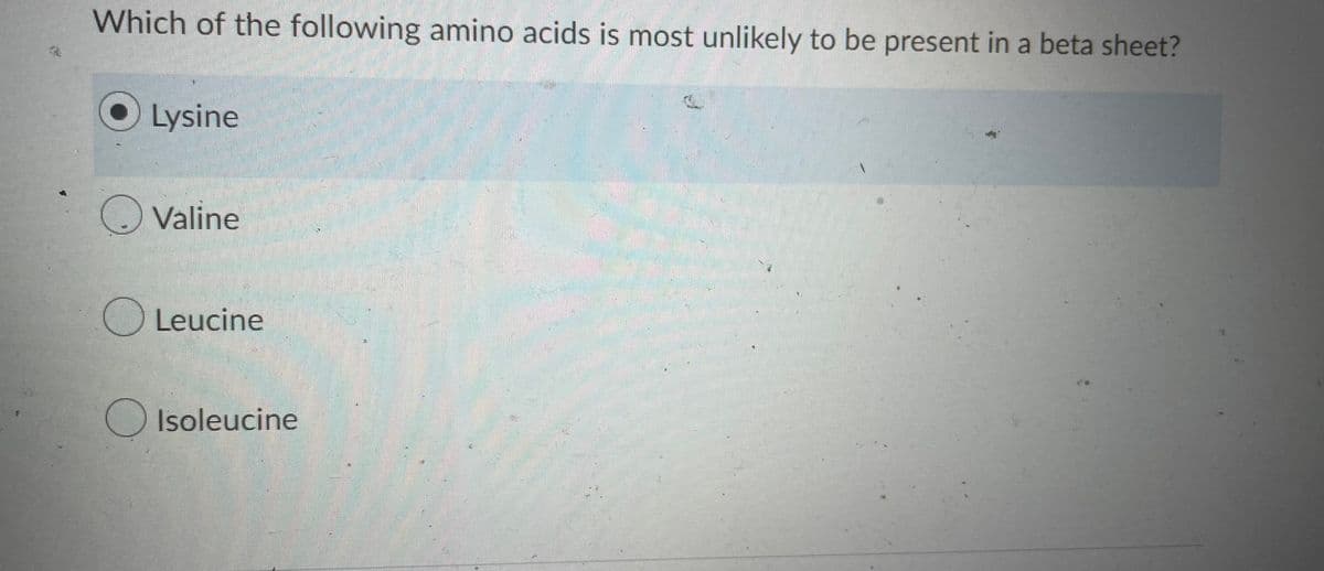 Which of the following amino acids is most unlikely to be present in a beta sheet?
Lysine
Valine
Leucine
Isoleucine
14