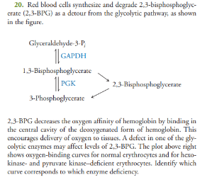 20. Red blood cells synthesize and degrade 2,3-bisphosphoglyc-
erate (2,3-BPG) as a detour from the glycolytic pathway, as shown
in the figure.
Glyceraldehyde-3-P
GAPDH
1,3-Bisphosphoglycerate
1|PGK
3-Phosphoglycerate
2,3-Bisphosphoglycerate
2,3-BPG decreases the oxygen affinity of hemoglobin by binding in
the central cavity of the deoxygenated form of hemoglobin. This
encourages delivery of oxygen to tissues. A defect in one of the gly-
colytic enzymes may affect levels of 2,3-BPG. The plot above right
shows oxygen-binding curves for normal erythrocytes and for hexo-
kinase- and pyruvate kinase-deficient erythrocytes. Identify which
curve corresponds to which enzyme deficiency,