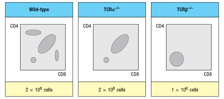 Wild-type
TCRa--
TCRB--
CD4
CD4
CD4
CD8
CD8
CD8
2 x 108 cells
2 x 108 cells
1 x 106 cells
