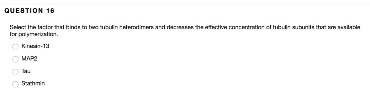 QUESTION 16
Select the factor that binds to two tubulin heterodimers and decreases the effective concentration of tubulin subunits that are available
for polymerization.
Kinesin-13
МАР2
Tau
Stathmin
