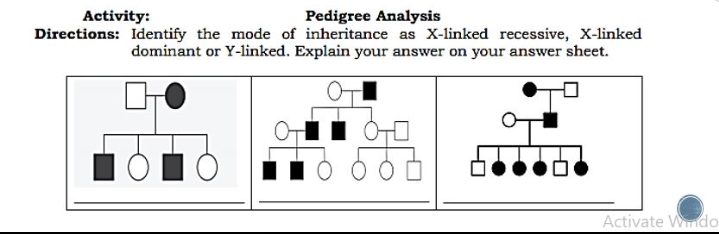 Pedigree Analysis
Directions: Identify the mode of inheritance as X-linked recessive, X-linked
dominant or Y-linked. Explain your answer on your answer sheet.
Activity:
Activate Wdo
