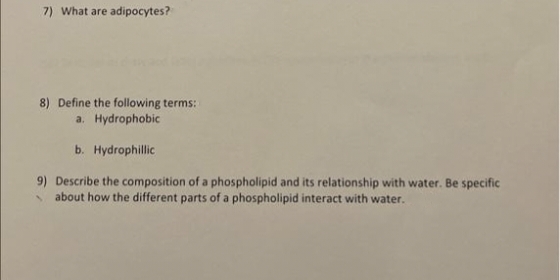 7) What are adipocytes?
8) Define the following terms:
a. Hydrophobic
b. Hydrophillic
9) Describe the composition of a phospholipid and its relationship with water. Be specific
about how the different parts of a phospholipid interact with water.