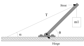 a
T
Strut
0
Hinge
ml