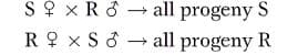S ? x R ở
R 9 x S 8 - all progeny R
all progeny S
