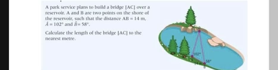A park service plans to build a bridge [AC] over a
reservoir. A and B are two points on the shore of
the reservoir, such that the distance AB 14 m,
A = 102 and B=58°.
Calculate the length of the bridge [AC] to the
nearest metre.
102
58
14
