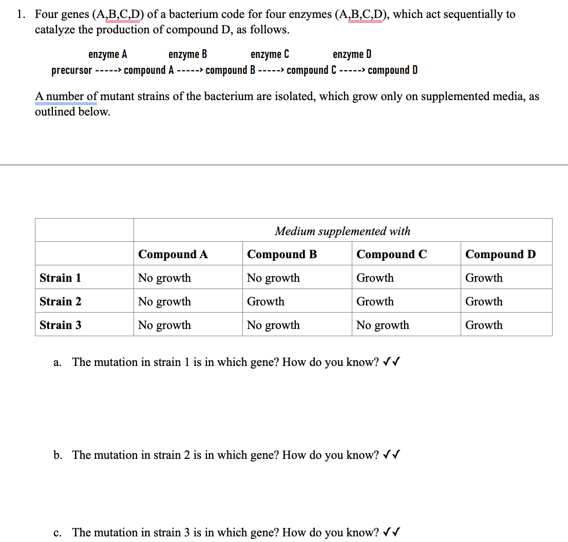 1. Four genes (A,B,C,D) of a bacterium code for four enzymes (A,B,C,D), which act sequentially to
catalyze the production of compound D, as follows.
enzyme A
enzyme B
enzyme C
enzyme D
precursor -----> compound A -----> compound B -----> compound C -----> compound D
A number of mutant strains of the bacterium are isolated, which grow only on supplemented media, as
outlined below.
Medium supplemented with
Compound A
Compound B
Compound C
Compound D
Strain 1
No growth
No growth
Growth
Growth
Strain 2
No growth
Growth
Growth
Growth
Strain 3
No growth
No growth
No growth
Growth
a.
The mutation in strain 1 is in which gene? How do you know? ✓✓
b. The mutation in strain 2 is in which gene? How do you know? ✓✓
c. The mutation in strain 3 is in which gene? How do you know? ✓✓