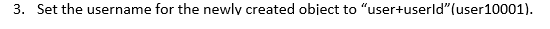 3. Set the username for the newly created object to "user+userld"(user10001).
