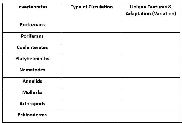 Invertebrates
Protozoans
Poriferans
Coelenterates
Platyhelminths
Nematodes
Annelids
Mollusks
Arthropods
Echinoderms
Type of Circulation
Unique Features &
Adaptation (Variation)