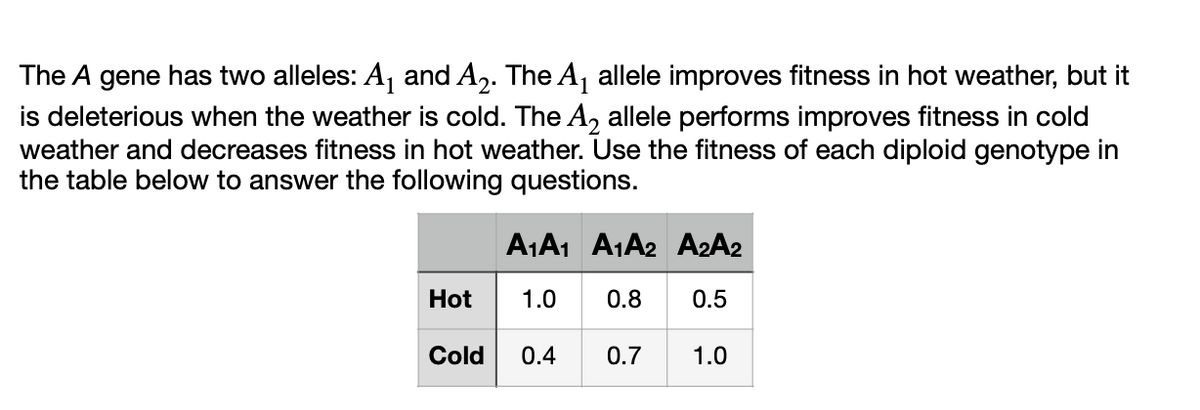 The A gene has two alleles: A₁ and A₂. The A₁ allele improves fitness in hot weather, but it
is deleterious when the weather is cold. The A₂ allele performs improves fitness in cold
weather and decreases fitness in hot weather. Use the fitness of each diploid genotype in
the table below to answer the following questions.
Hot
Α1 Α1
1.0
Cold 0.4
Α1 Α2
0.8
0.7
Α2Α2
0.5
1.0