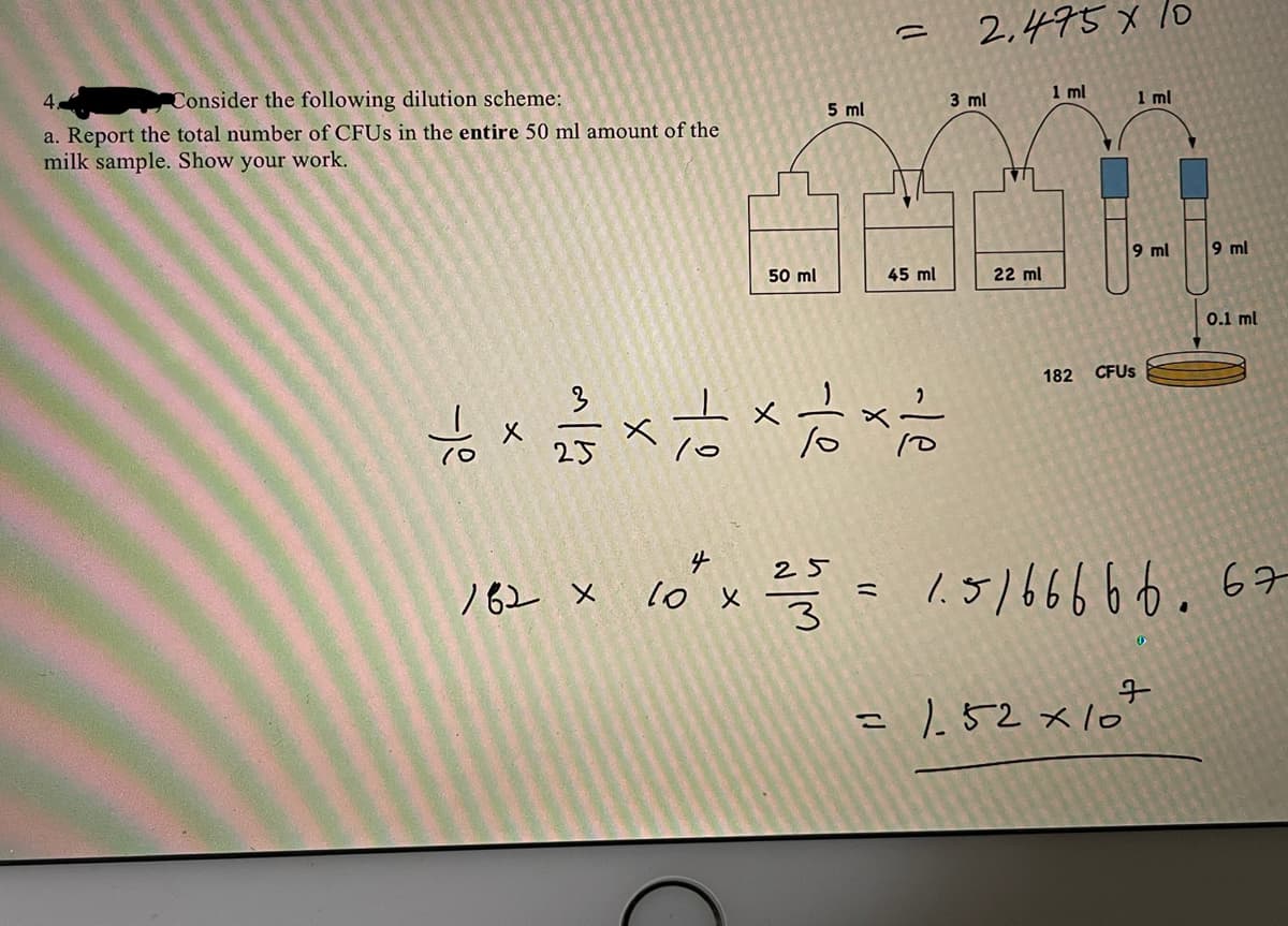 2.495 x l0
Consider the following dilution scheme:
5 ml
3 ml
1 ml
1 ml
a. Report the total number of CFUS in the entire 50 ml amount of the
milk sample. Show your work.
9 ml
9 ml
50 ml
45 ml
22 ml
0.1 ml
182
CFUS
3
25
25
- 1.5/66666.67
ノ62 ×
lo x
3
=152x10
