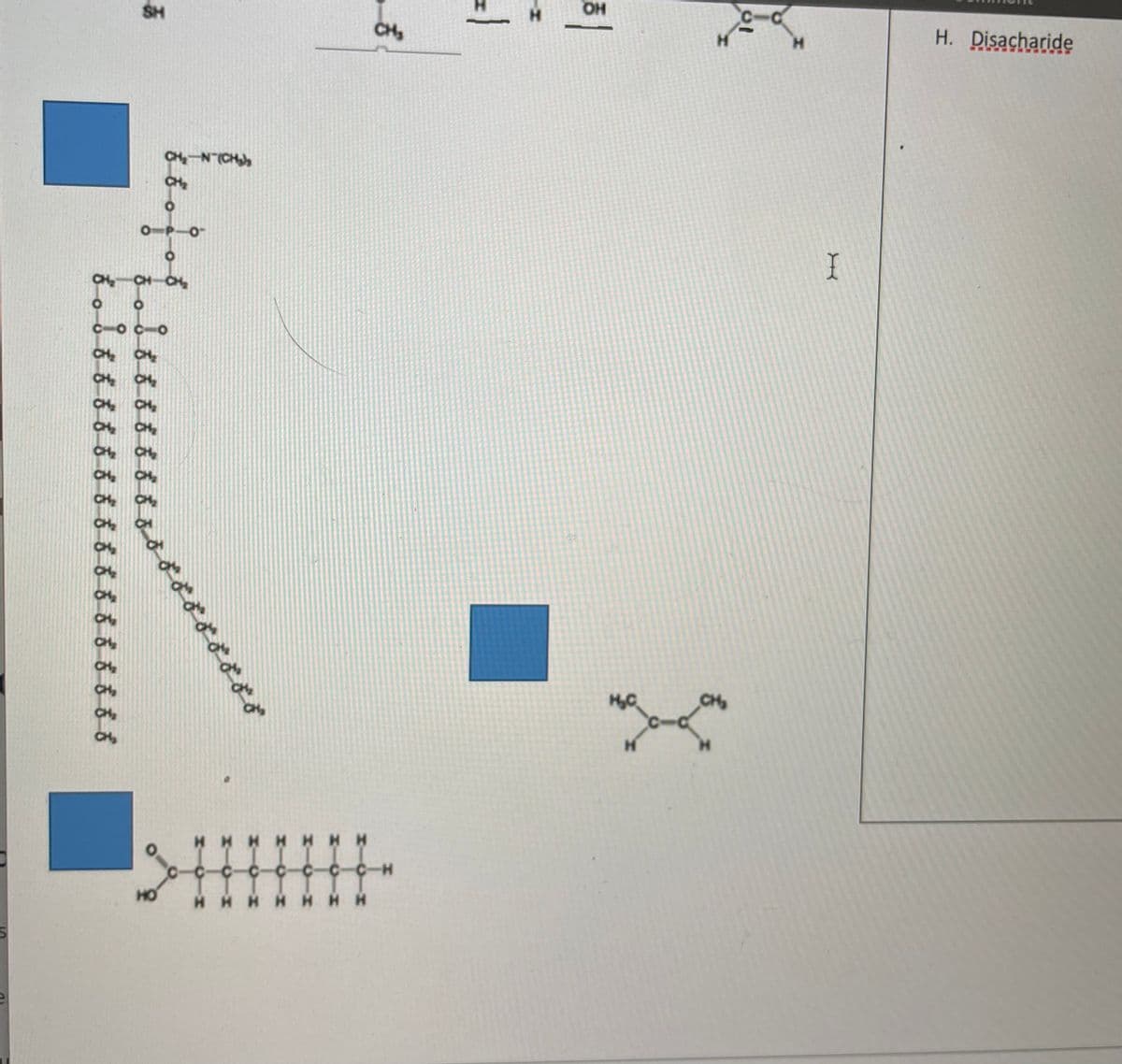 S
воннннн
CH
CH₂
сос-о
OX
CH₂
он
CH₂
CH₂
хаа
SH
CH₂
ОР-О
O
CH-CH₂
CH₂ N(CH₂)
CH₂
н
CH.
0-
НО
они он он он он
ИННИННИ
с-с-с-с-с- -H
Ин
CH₂
КИН
| =
OH
нс
Н
н
c-c
H
I
H. Disacharide