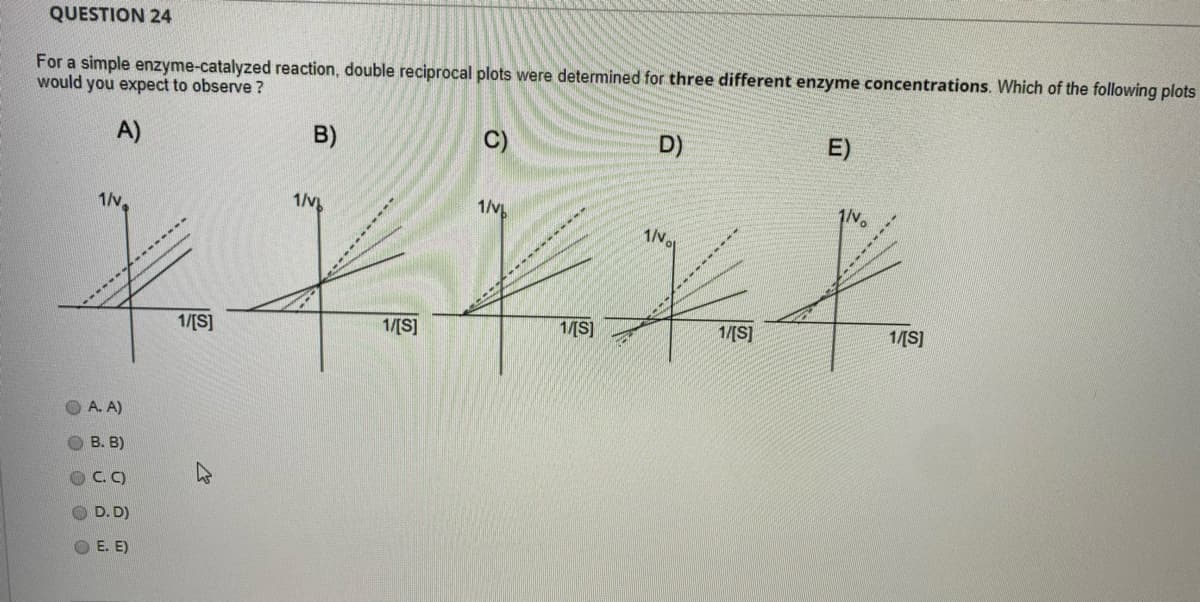 QUESTION 24
For a simple enzyme-catalyzed reaction, double reciprocal plots were determined for three different enzyme concentrations. Which of the following plots
would you expect to observe ?
A)
B)
C)
D)
E)
1/v,
1/v
1/v
1/v.
1/v
1/[S]
1/[S]
1/[S]
1/[S]
1/[S]
O A. A)
O B. B)
OC.C)
O D. D)
O E. E)
