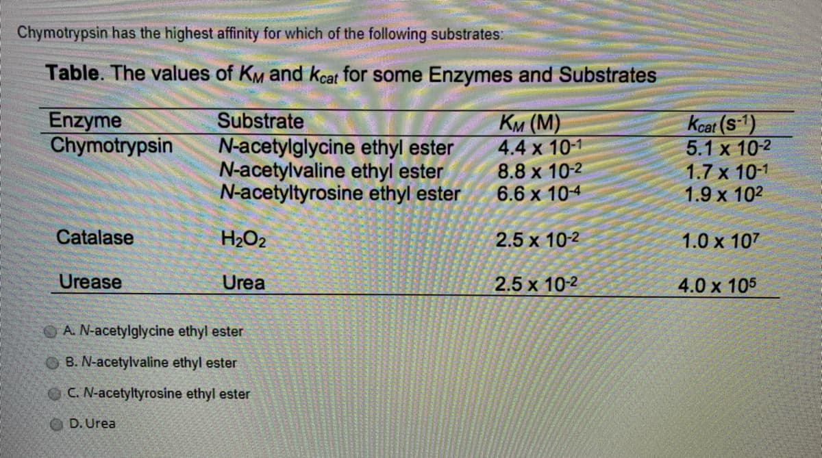 Chymotrypsin has the highest affinity for which of the following substrates:
Table. The values of KM and kcat for some Enzymes and Substrates
Enzyme
Chymotrypsin
Ки (М)
4.4 x 10-1
8.8 x 10-2
6.6 x 104
Kcat (S-1)
5.1 x 10-2
1.7 x 10-1
1.9 x 102
Substrate
N-acetylglycine ethyl ester
N-acetylvaline ethyl ester
N-acetyltyrosine ethyl ester
Catalase
H2O2
2.5 x 10-2
1.0 x 107
Urease
Urea
2.5 x 10-2
4.0 x 105
OA. N-acetylglycine ethyl ester
OB. N-acetylvaline ethyl ester
OC. N-acetyltyrosine ethyl ester
D. Urea
