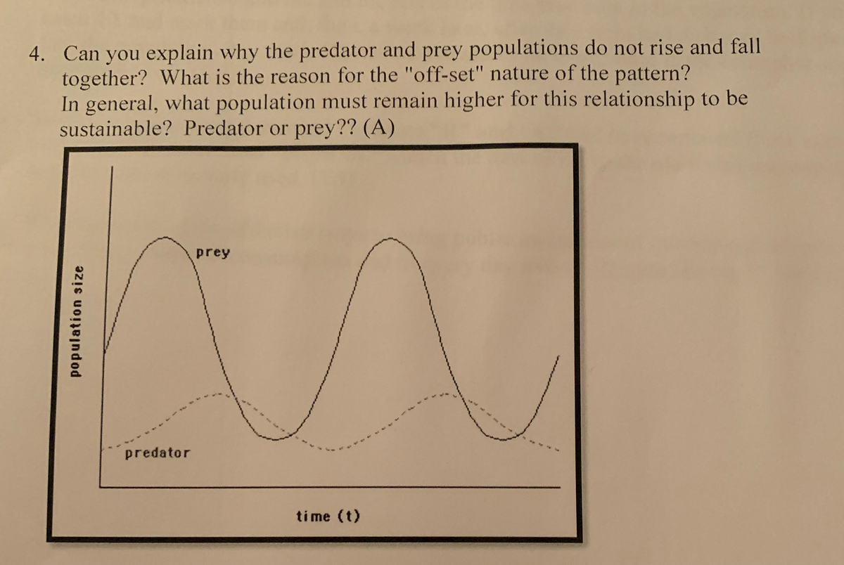 4. Can you explain why the predator and prey populations do not rise and fall
together? What is the reason for the "off-set" nature of the pattern?
In general, what population must remain higher for this relationship to be
sustainable? Predator or prey?? (A)
population size
predator
prey
time (t)
