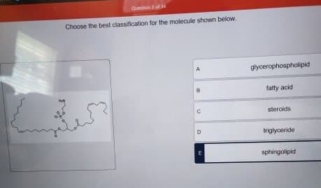 Question 3 of 34
Choose the best classification for the molecule shown below.
A
"
E
glycerophospholipid
fatty acid
steroids
triglyceride
sphingolipid