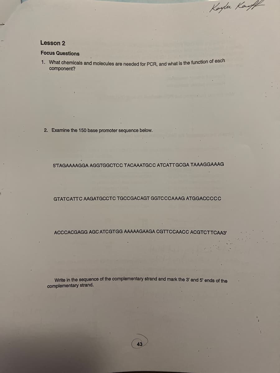 Lesson 2
Focus Questions
1. What chemicals and molecules are needed for PCR, and what is the function of each
component?
2. Examine the 150 base promoter sequence below.
Kaylee Kauff
5'TAGAAAAGGA AGGTGGCTCC TACAAATGCC ATCATTGCGA TAAAGGAAAG
GTATCATTC AAGATGCCTC TGCCGACAGT GGTCCCAAAG ATGGACCCCC
ACCCACGAGG AGC ATCGTGG AAAAAGAAGA CGTTCCAACC ACGTCTTCAA3'
Write in the sequence of the complementary strand and mark the 3' and 5' ends of the
complementary strand.
43