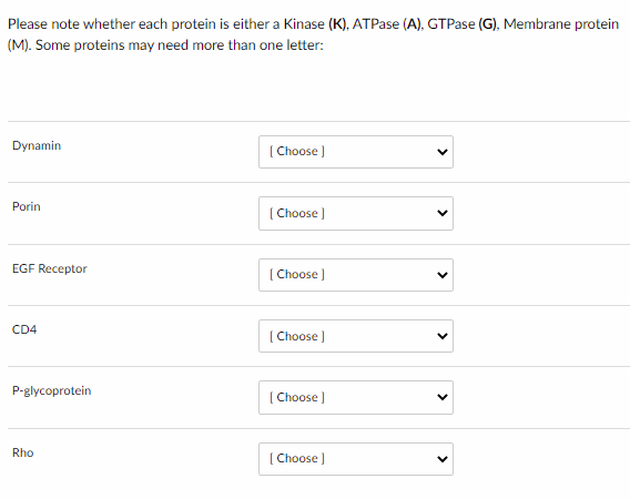 Please note whether each protein is either a Kinase (K), ATPase (A), GTPase (G), Membrane protein
(M). Some proteins may need more than one letter:
Dynamin
[Choose ]
Porin
[Choose ]
EGF Receptor
[Choose ]
CD4
[Choose ]
P-glycoprotein
[Choose ]
Rho
[Choose ]
<