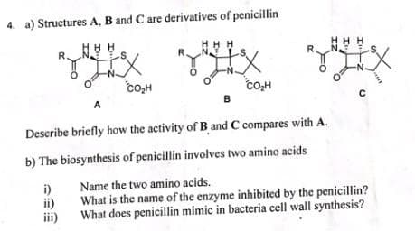 4. a) Structures A, B and C are derivatives of penicillin
Н
NHH
+x
A
i)
ii)
iii)
CO₂H
HH
Ex
B
CO₂H
R
Describe briefly how the activity of B and C compares with A.
b) The biosynthesis of penicillin involves two amino acids
с
Name the two amino acids.
What is the name of the enzyme inhibited by the penicillin?
What does penicillin mimic in bacteria cell wall synthesis?