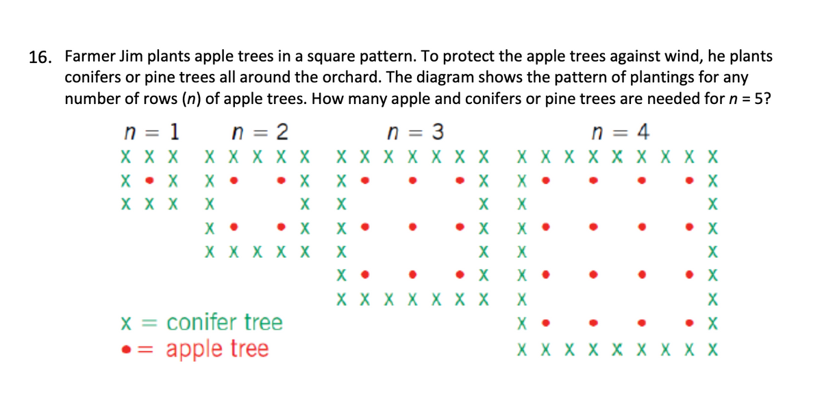 16. Farmer Jim plants apple trees in a square pattern. To protect the apple trees against wind, he plants
conifers or pine trees all around the orchard. The diagram shows the pattern of plantings for any
number of rows (n) of apple trees. How many apple and conifers or pine trees are needed for n = .
5?
n = 1
X X X
n = 2
n = 3
n = 4
X X X X X
X X X X X X X
X X X X X X X X X
X X
X
•
• X
✗•
• X
X •
• X
X X X
X
X
X
X
X
.
• X
X X X X X
XX
X •
X
× •
X
x = conifer tree
X X X X X X X
X
X •
• X
X
• X
X
• X
• = apple tree
X X X X X X X X X